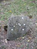 image of grave number 199541